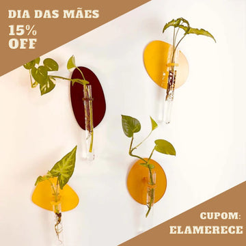 Quarteto Orgânico Entardecer