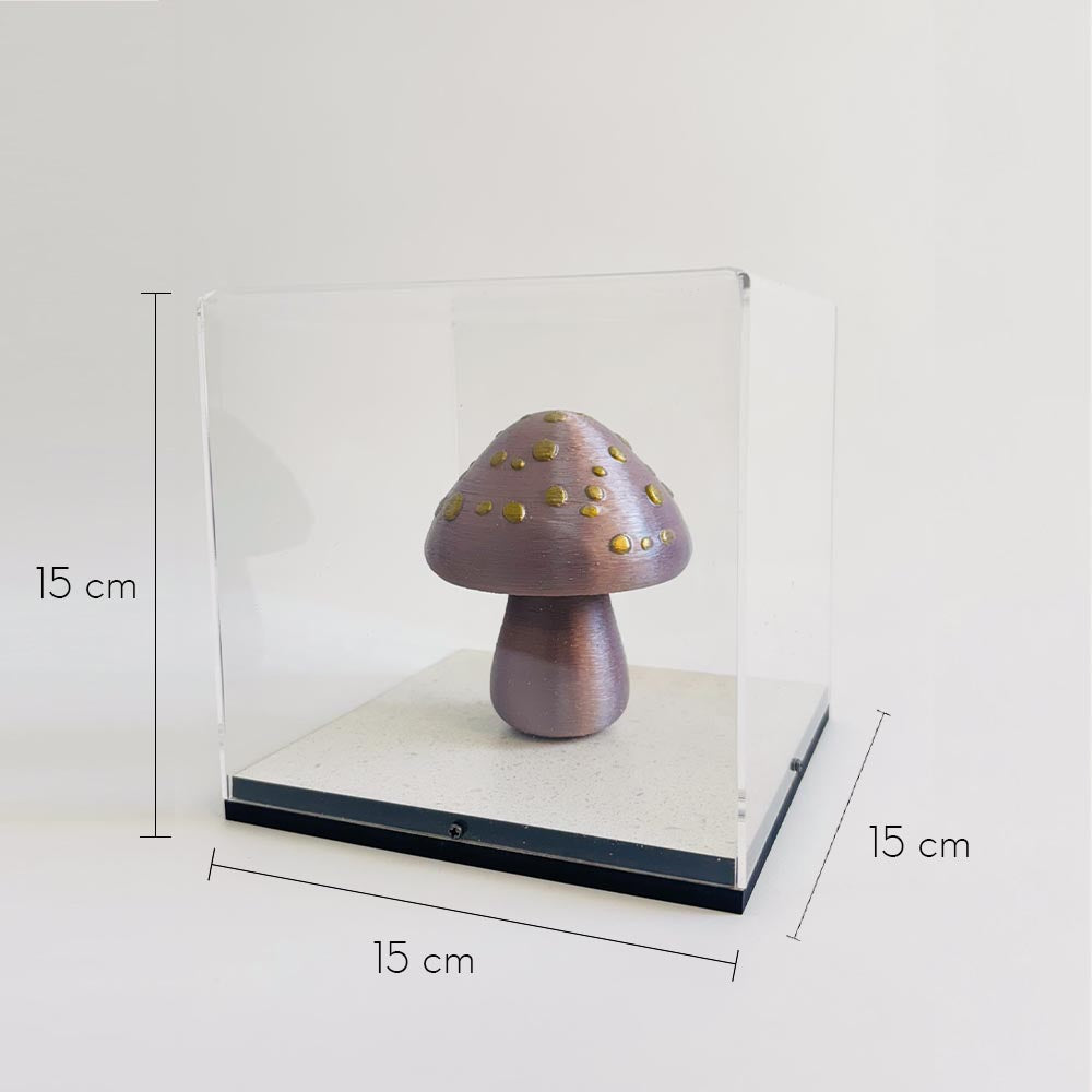 Caixa de Acrílico - Cogumelo Encantado - 15x15x15