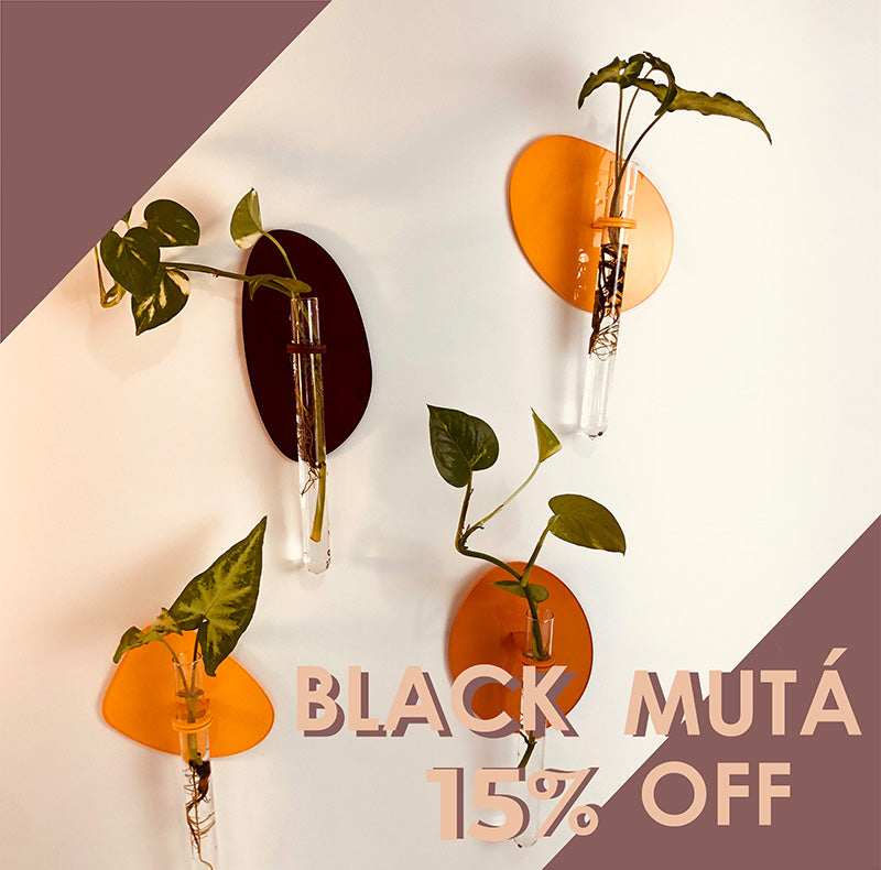 Quarteto Orgânico Entardecer