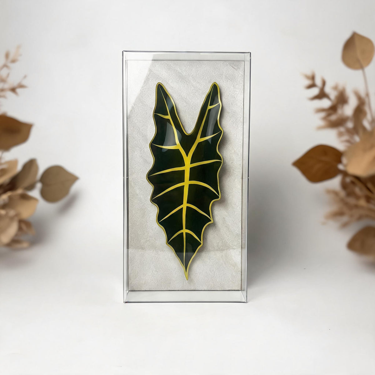 Caixa Acrílica Flora Alocasia | 30 x 15 cm