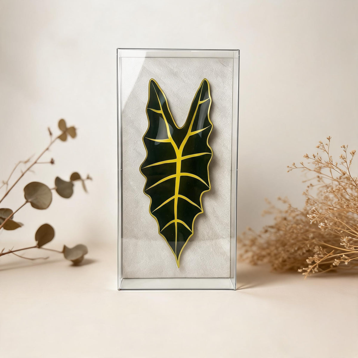Caixa Acrílica Flora Alocasia | 30 x 15 cm