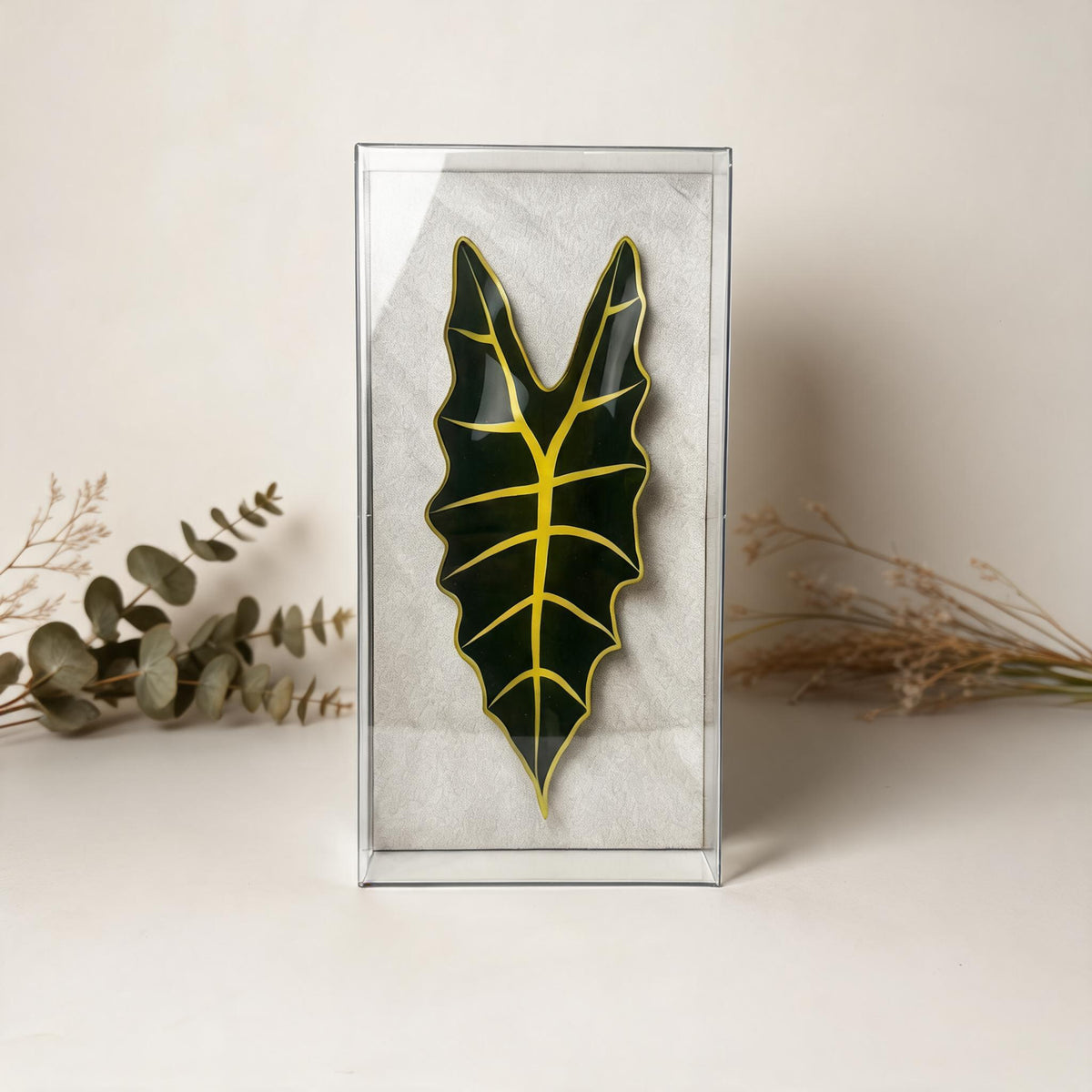 Caixa Acrílica Flora Alocasia | 30 x 15 cm