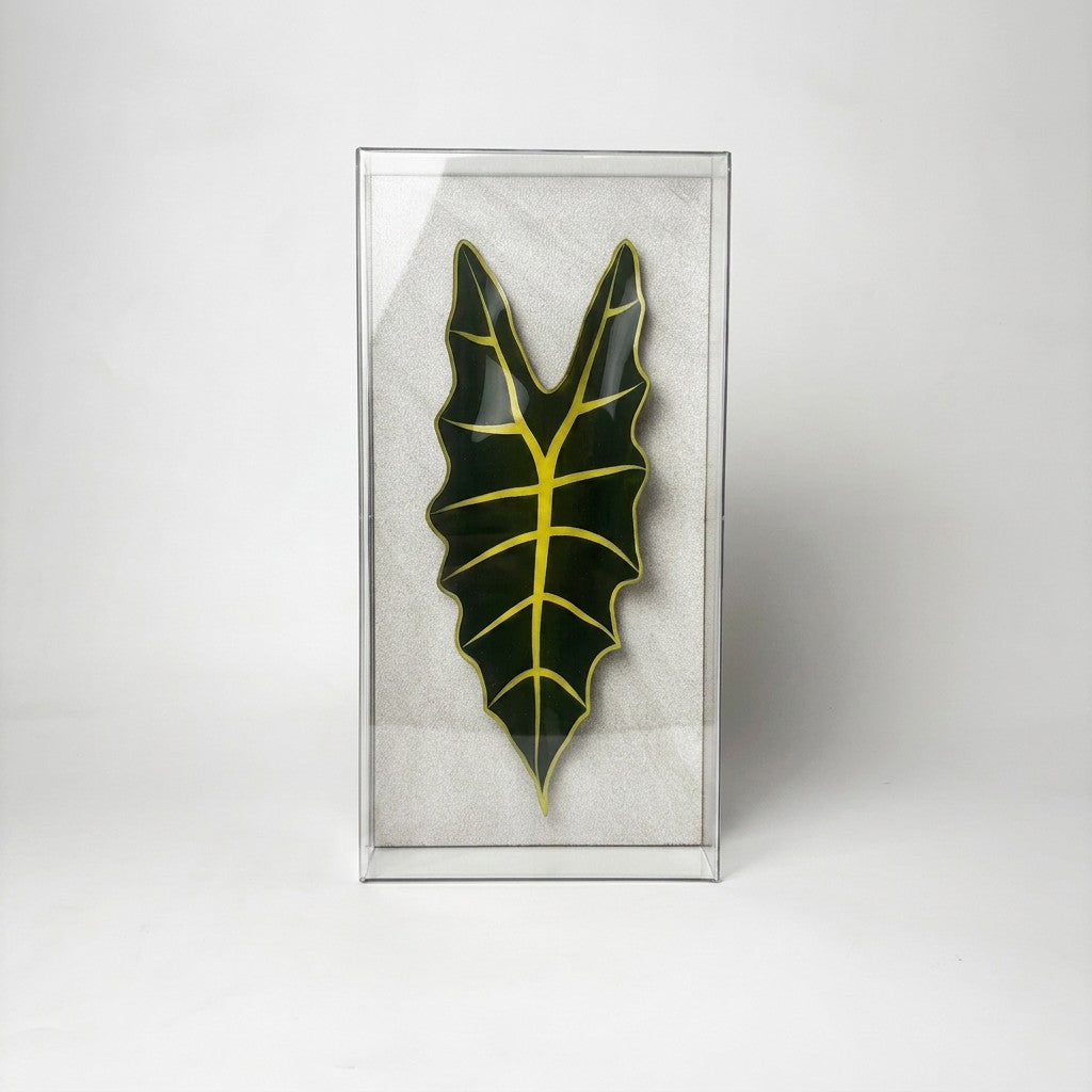 Caixa Acrílica Flora Alocasia | 30 x 15 cm