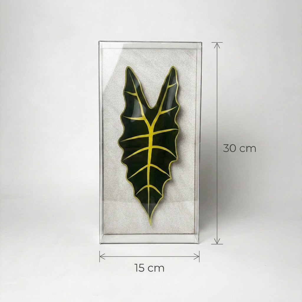 Caixa Acrílica Flora Alocasia | 30 x 15 cm