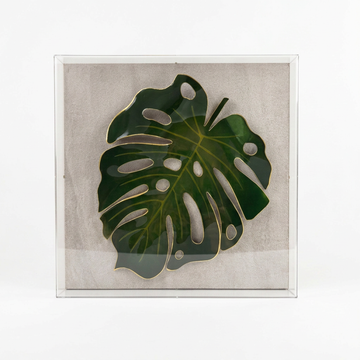 Caixa Acrílica Flora Costela de Adão | 30 x 30 cm