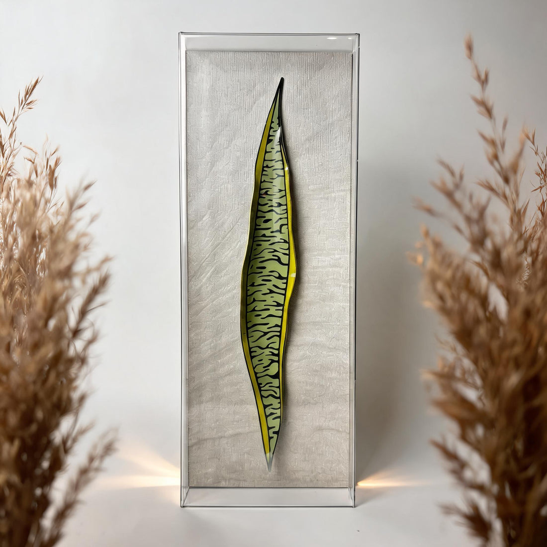Caixa Acrílica Flora Espada de São Jorge | 40 x 20 cm