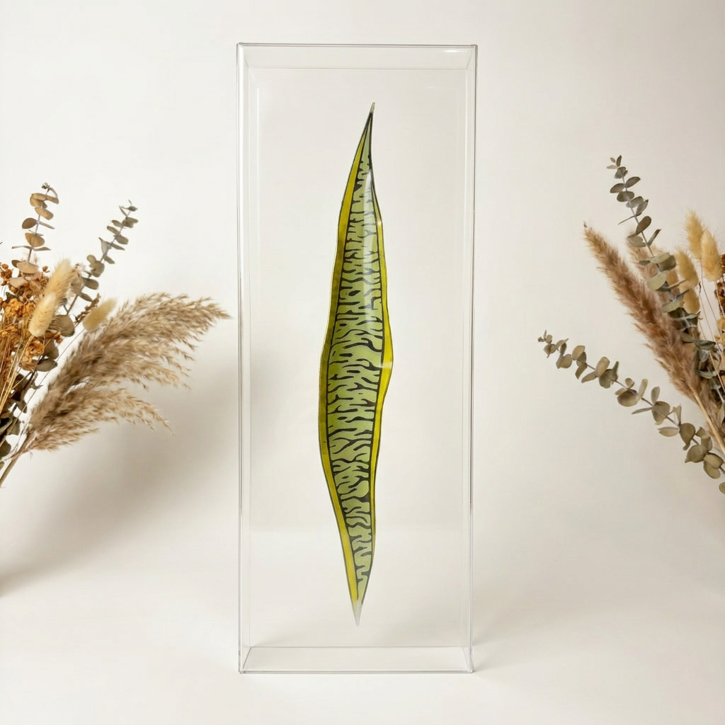 Caixa Acrílica Flora Espada de São Jorge | 40 x 20 cm