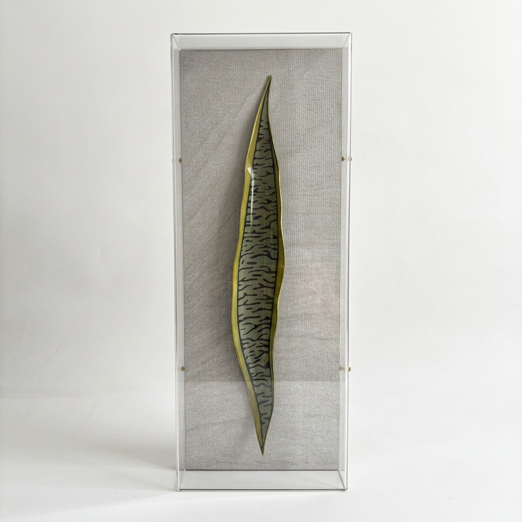 Caixa Acrílica Flora Espada de São Jorge | 40 x 20 cm