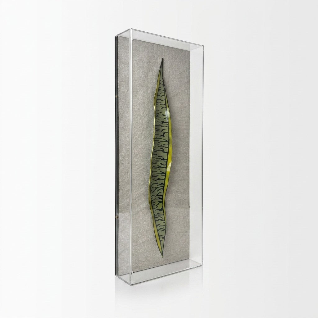 Caixa Acrílica Flora Espada de São Jorge | 40 x 20 cm
