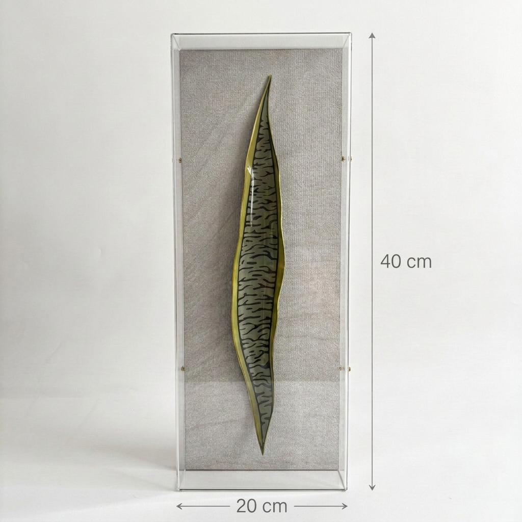 Caixa Acrílica Flora Espada de São Jorge | 40 x 20 cm