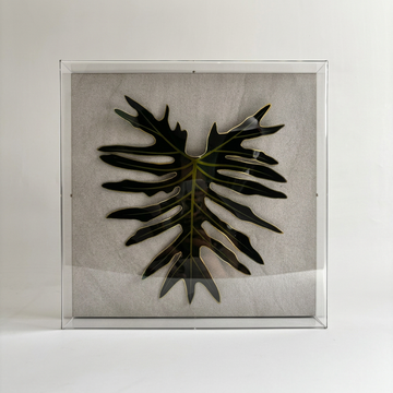 Caixa Acrílica Flora Guaimbê | 30 x 30 cm