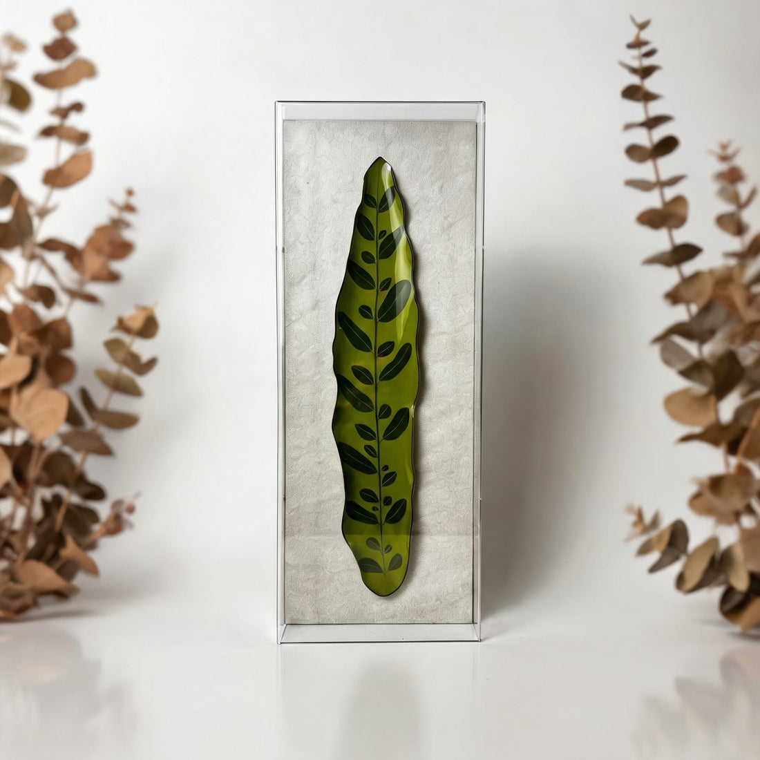 Caixa Acrílica Flora Maranta Cascavel | 40 x 20 cm