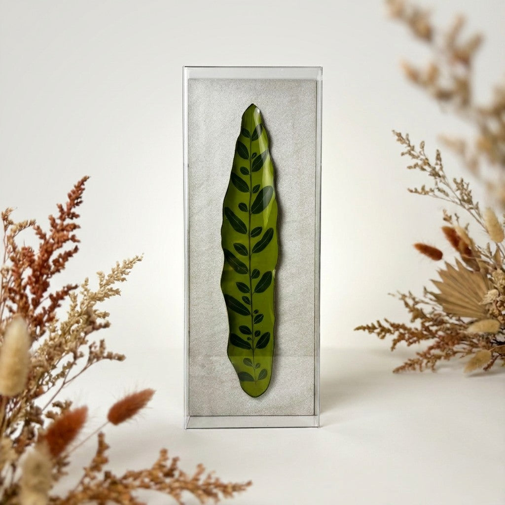 Caixa Acrílica Flora Maranta Cascavel | 40 x 20 cm
