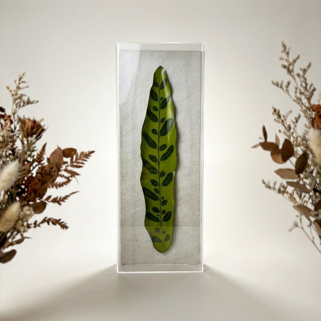 Caixa Acrílica Flora Maranta Cascavel | 40 x 20 cm