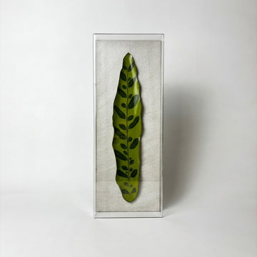 Caixa Acrílica Flora Maranta Cascavel | 40 x 20 cm