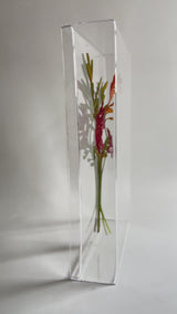 Ver vídeo do Buquê.mp4