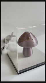 Ver Cogumelo Encantado.mp4